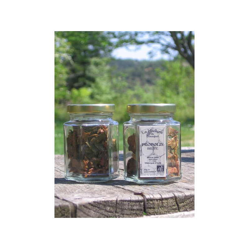 Propolis Bio pure à mâcher 30g