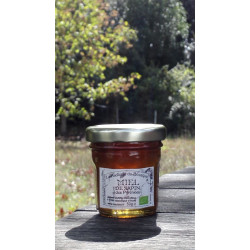 Miel de Sapin des Pyrénées Bio pot 50g
