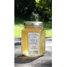 Miel Bio de Romarin sauvage Corbières pot 50g