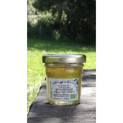 Miel Bio de Romarin sauvage Corbières pot 50g