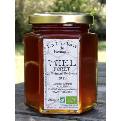 Miel de Forêt Bio Aude France 2021 pot 250g