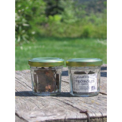Propolis Bio pure à mâcher 10g