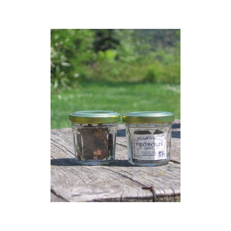 Propolis Bio pure à mâcher 10g